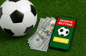 博洛尼亞 足球的长期研究与内容价值